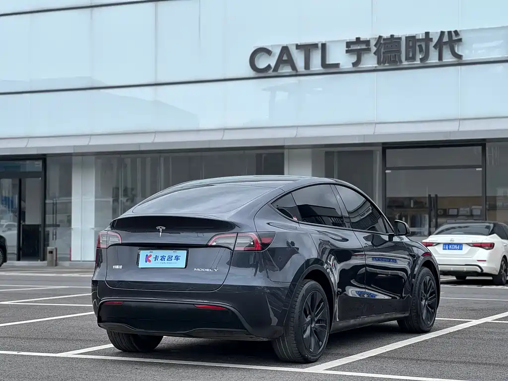 Tesla Model Y — миниатюра 4