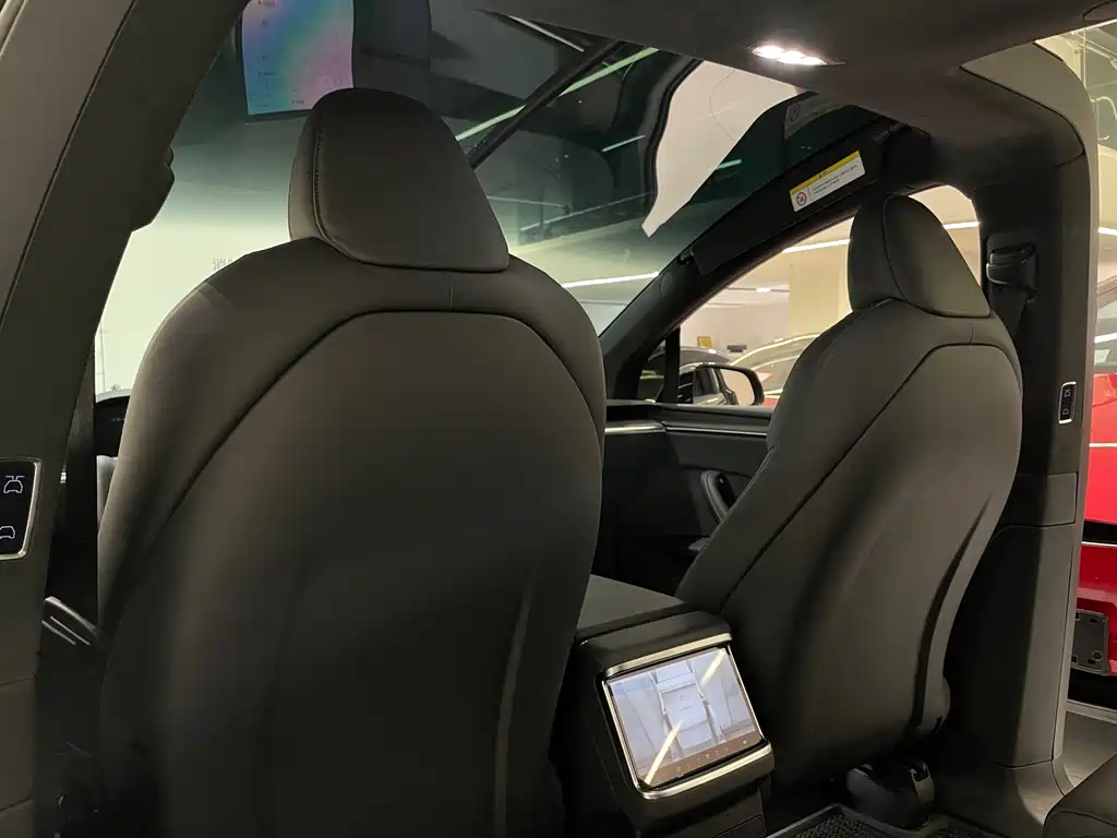 Tesla Model X — миниатюра 12