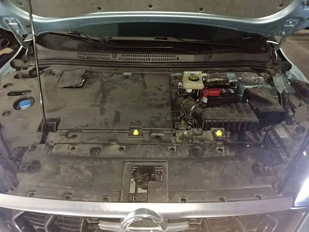 Haima Haima 7X — миниатюра 16