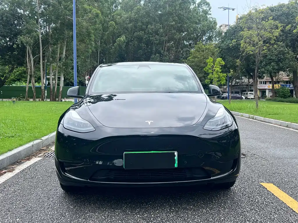 Tesla Model Y — миниатюра 2