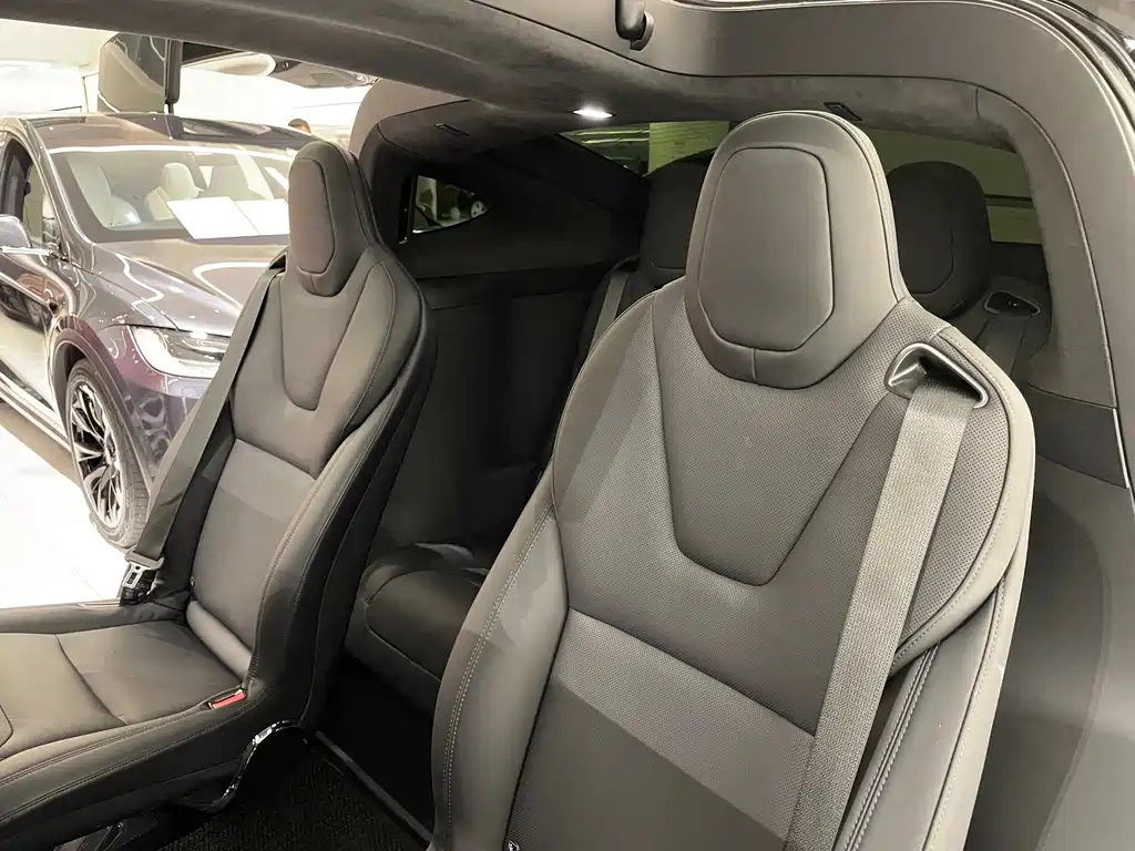 Tesla Model X — миниатюра 14
