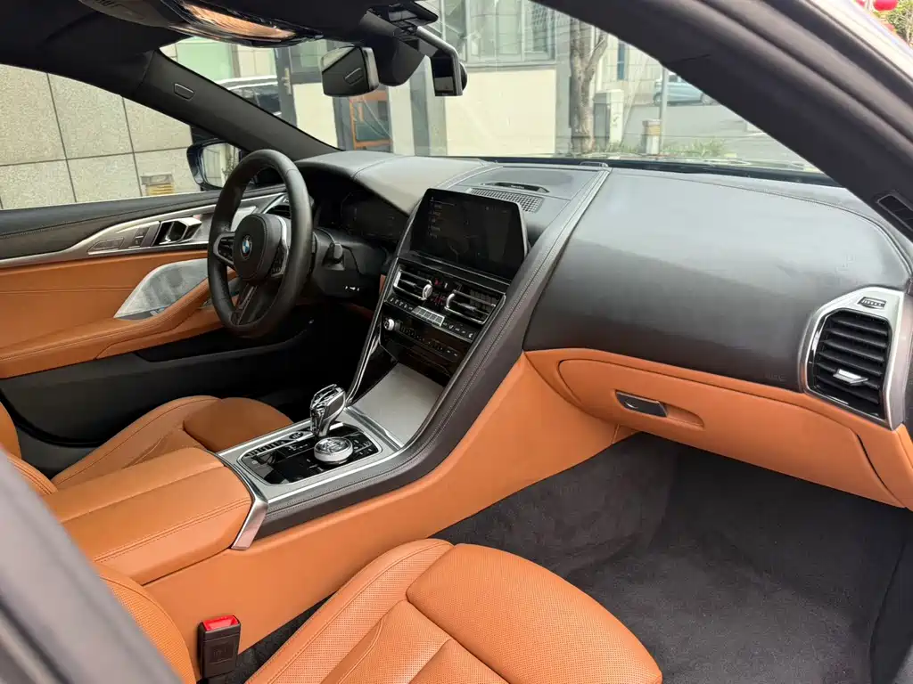 BMW 8 Series — миниатюра 7