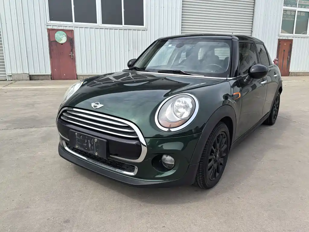 Mini Mini 2017