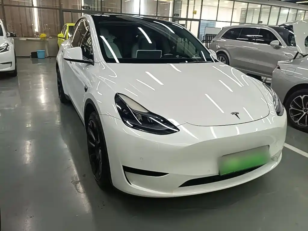 Tesla Model Y — миниатюра 4