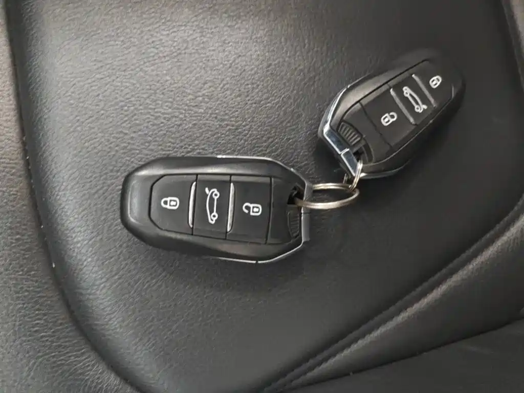 DS DS 5LS — миниатюра 9