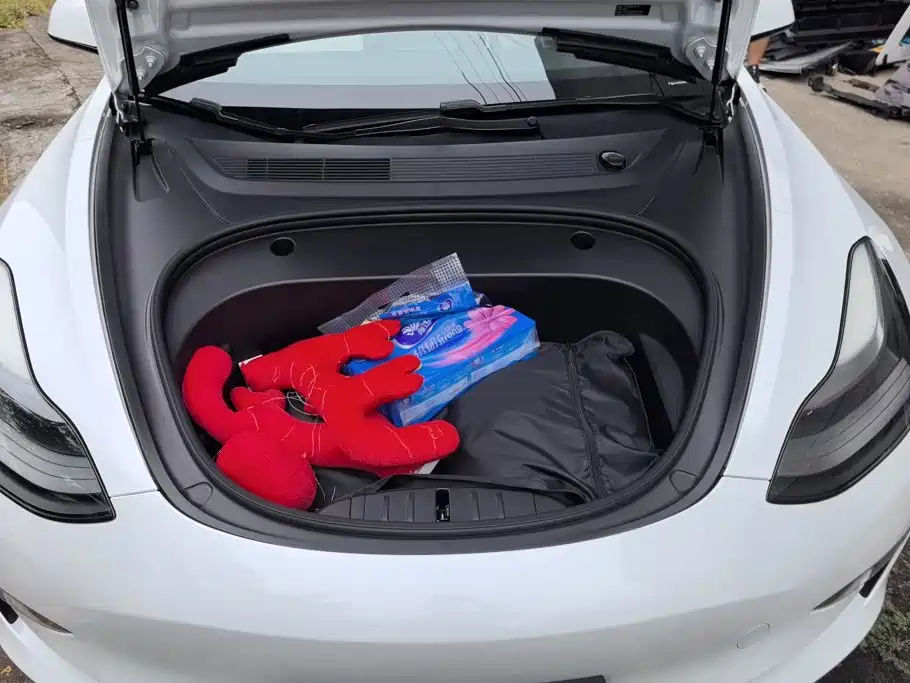 Tesla Model 3 — миниатюра 10