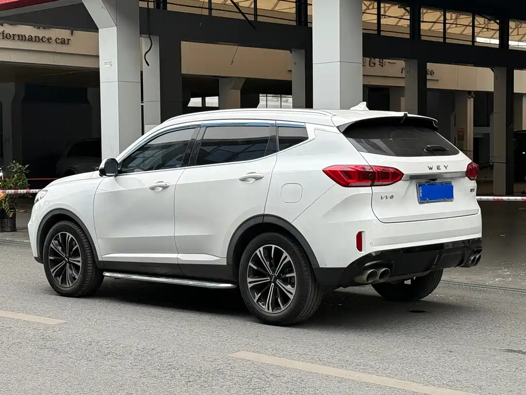 WEI PAI WEI BRAND VV6