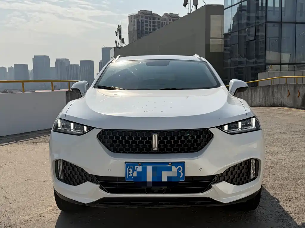 WEI PAI WEI BRAND VV7