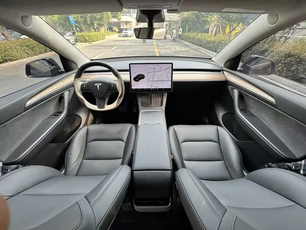 Tesla Model Y — миниатюра 11