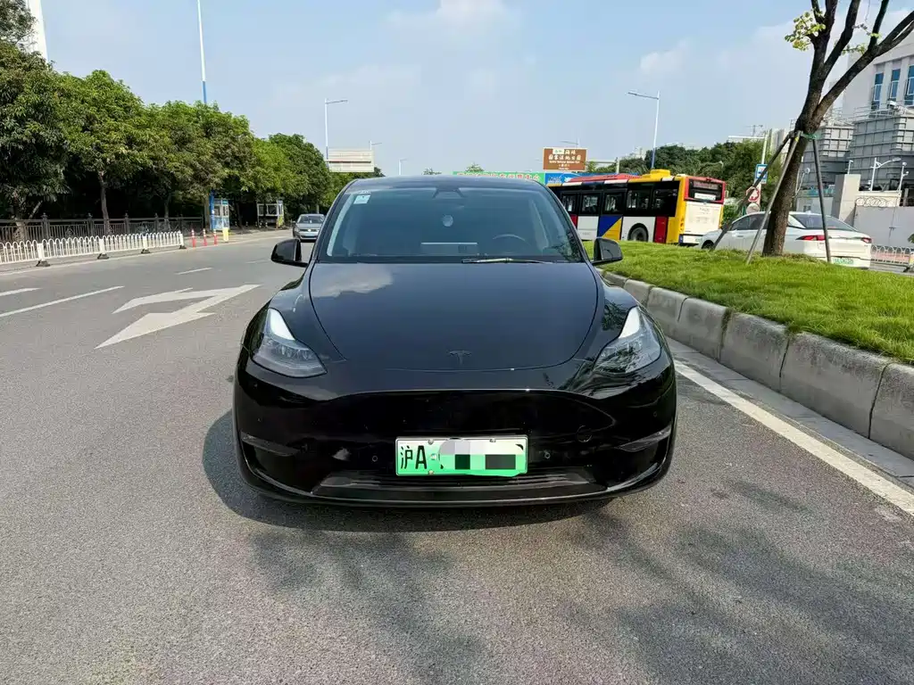 Tesla Model Y — миниатюра 2