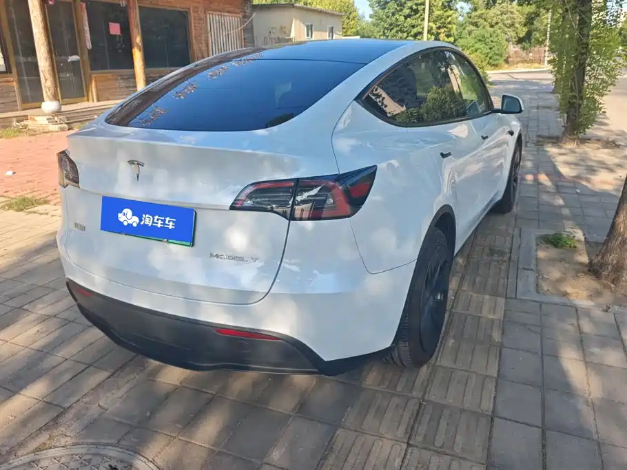 Tesla Model Y — миниатюра 3