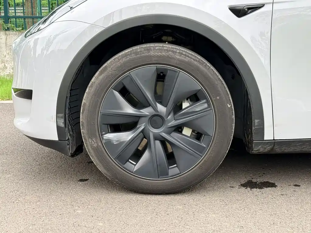 Tesla Model Y — миниатюра 7
