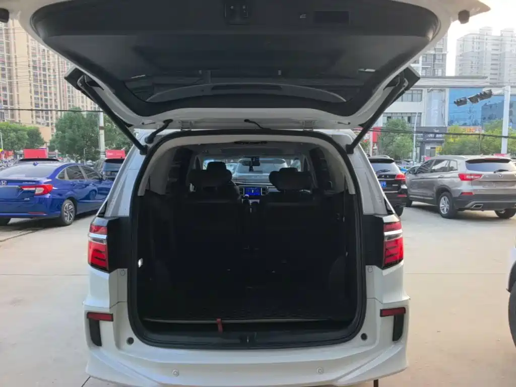Honda Elysion — миниатюра 19