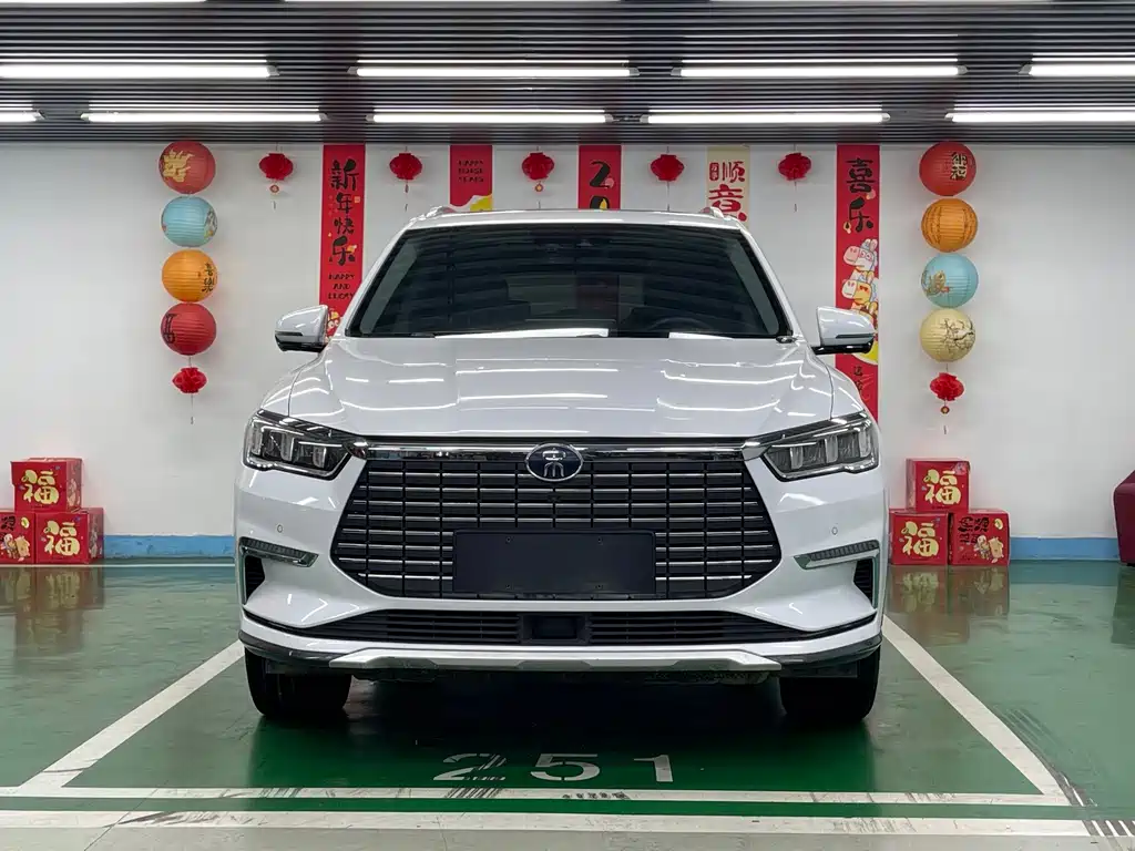 BYD Pro New Energy — миниатюра 2