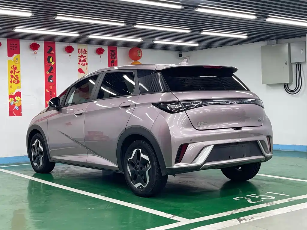 BYD Dolphin — миниатюра 7