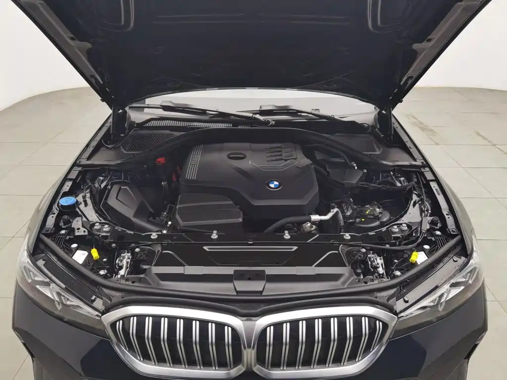 BMW 3 Series — миниатюра 6