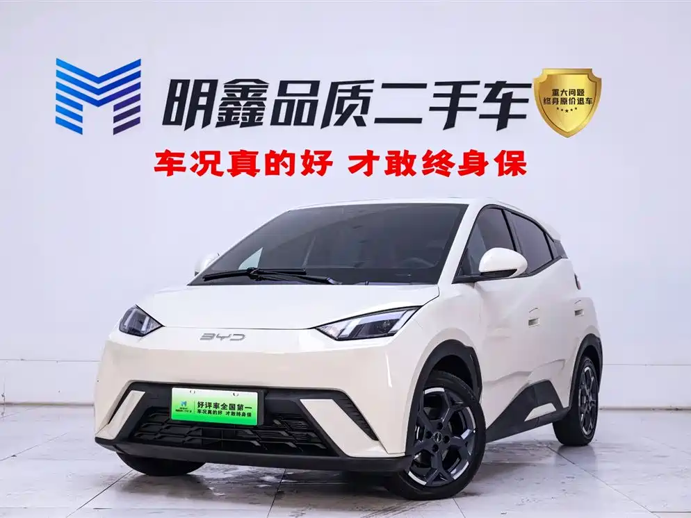 Byd Seagull 2025