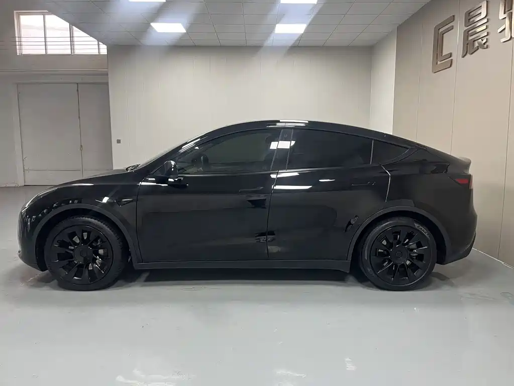 Tesla Model Y — миниатюра 12