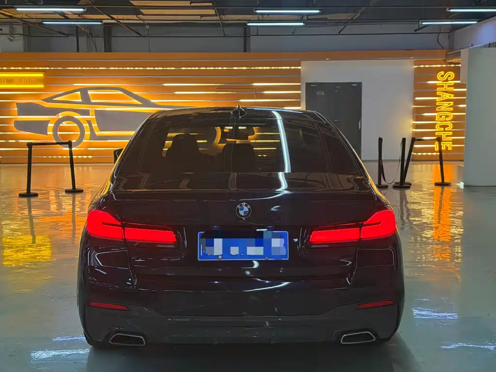 BMW 5 Series (Import) — миниатюра 5