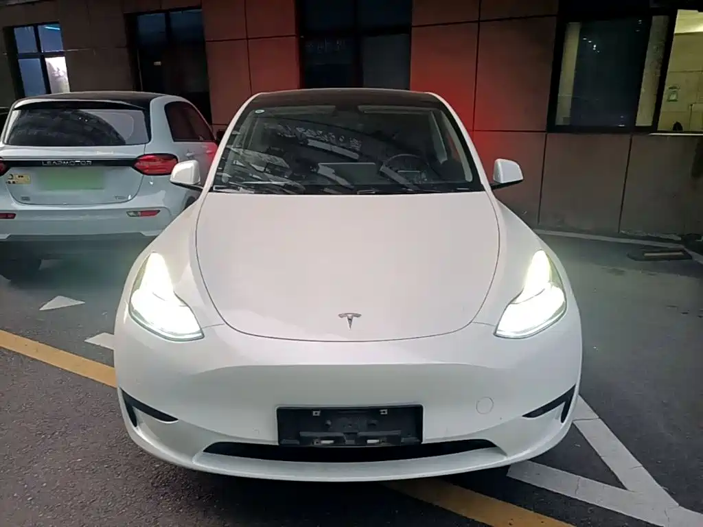 Tesla Model Y — миниатюра 3