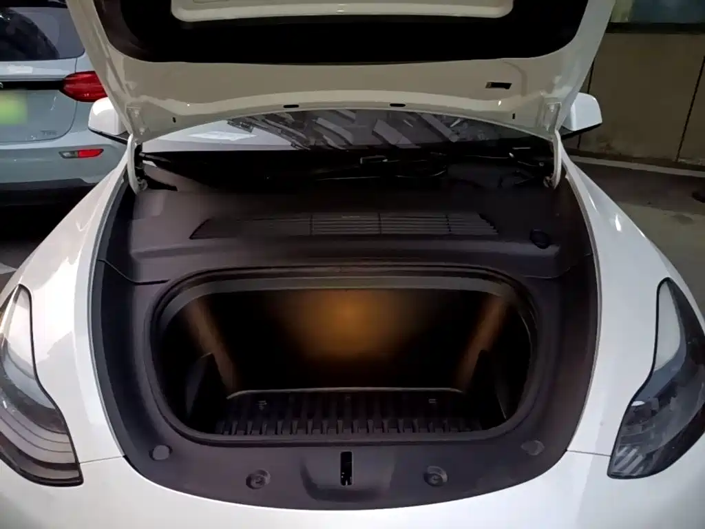 Tesla Model Y — миниатюра 20