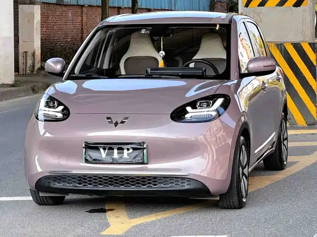 Wuling Bingo