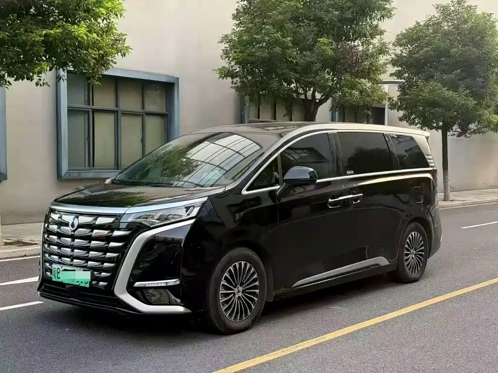 Denza Denza D9