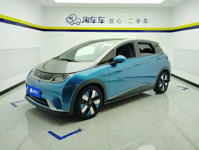 2022 BYD Dolphin
