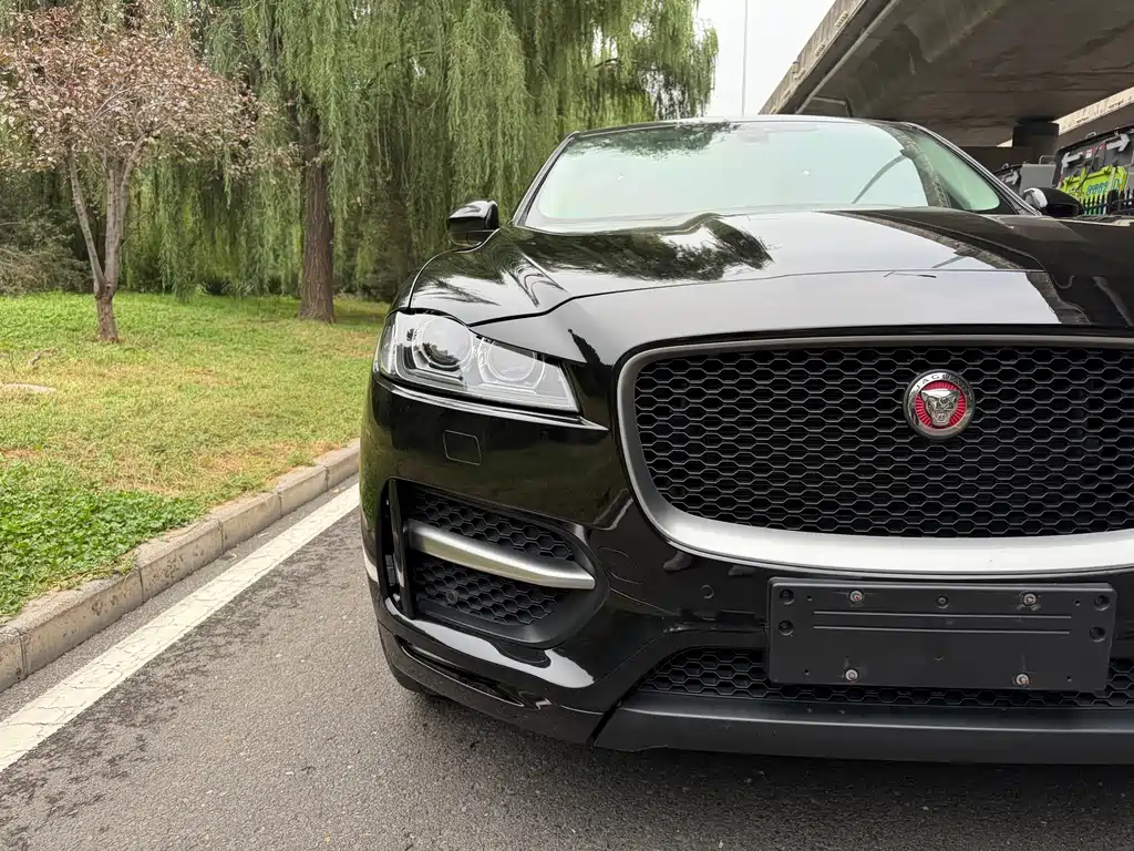 Jaguar F-PACE — миниатюра 13