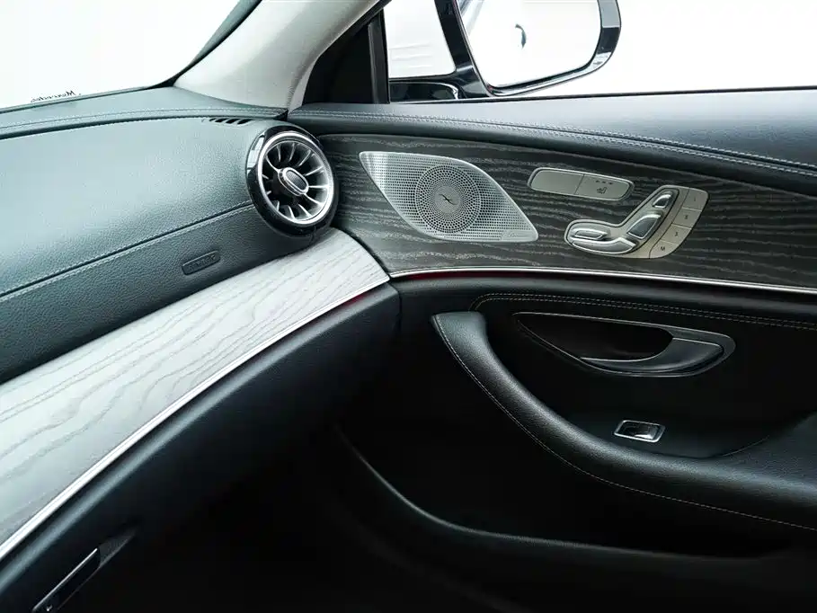 Mercedes-Benz CLS CLS 300 Luxury Type, фото 12