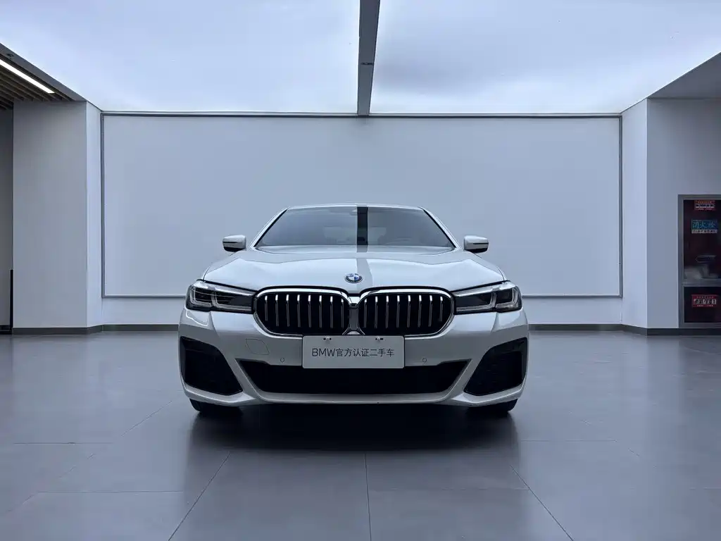 BMW 5 Series — миниатюра 2