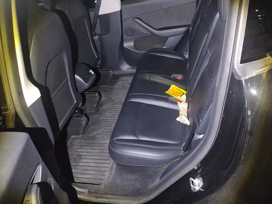 Tesla Model Y — миниатюра 11