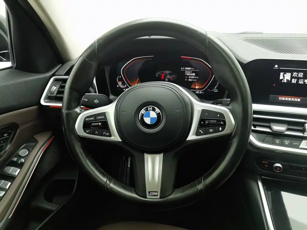 BMW 3 Series — миниатюра 11