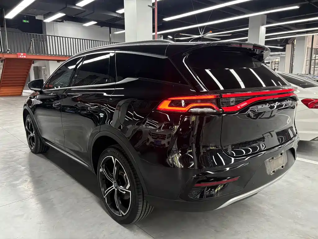 BYD Tang New Energy - фото 16