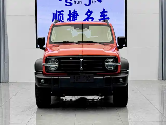 2021 TANK 300