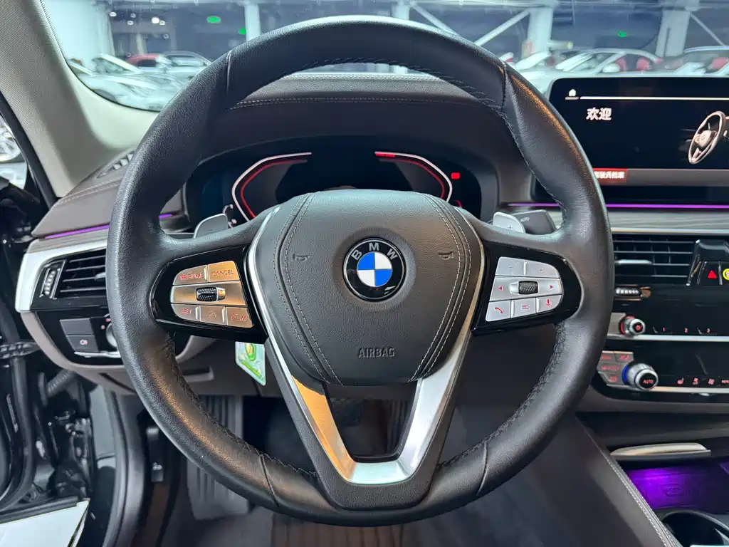 BMW 5 Series 5 2022 530Li Lead Luxury