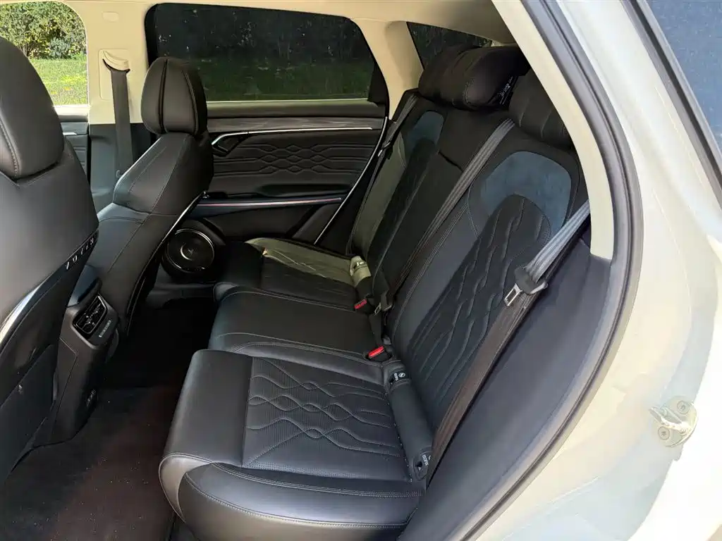 Voyah Free 2021 Luxury