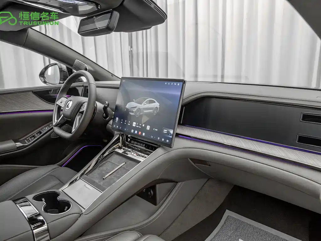 Denza Denza Z9 — миниатюра 14