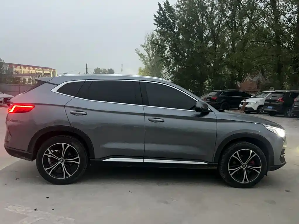 BYD PLUS — миниатюра 10