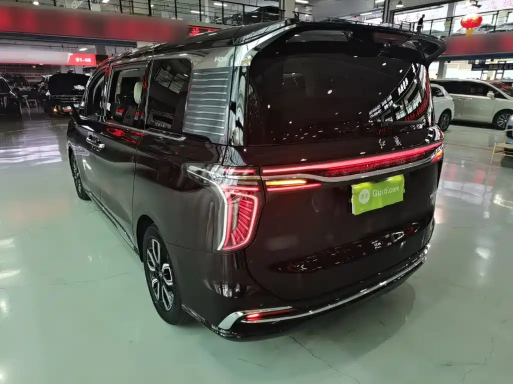 Hongqi Hongqi HQ9 — миниатюра 5