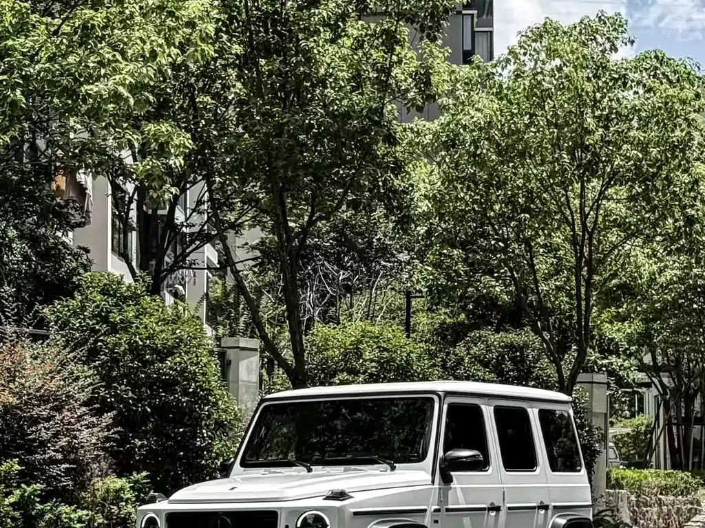 MERCEDES-BENZ G CLASS