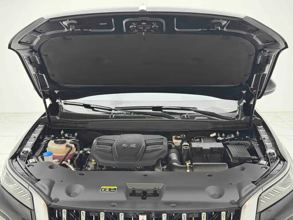 Hongqi HS5 2.0T 2WD Flagship Enjoy Pro Edition, фото 5