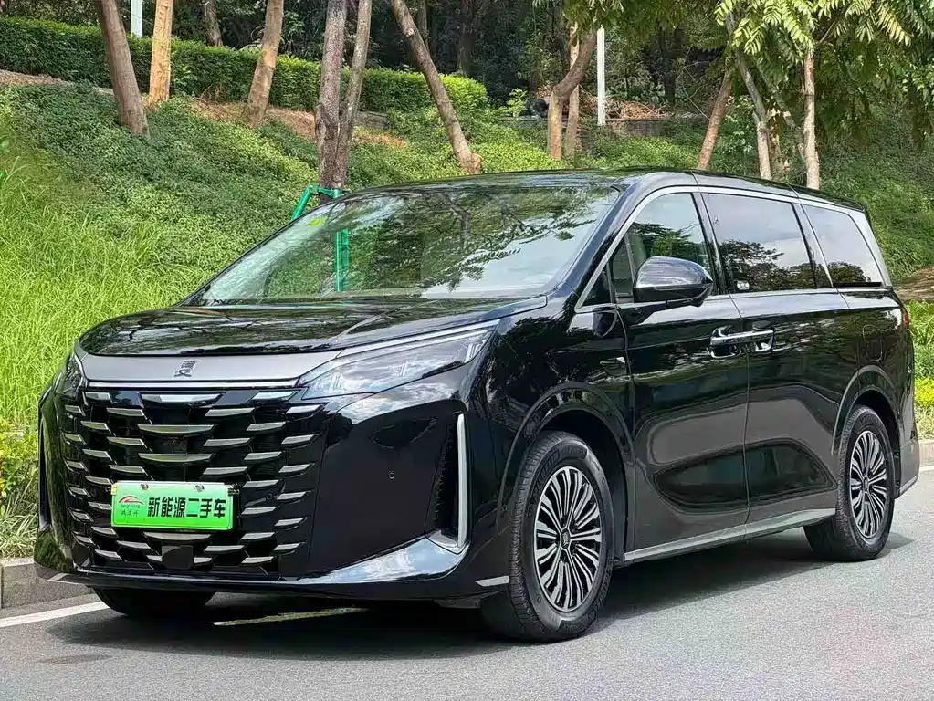 BYD Xia