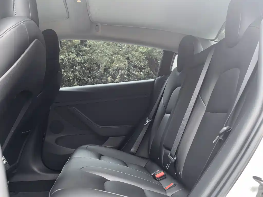 Tesla Model 3 — миниатюра 11