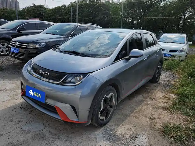 2023 BYD Dolphin