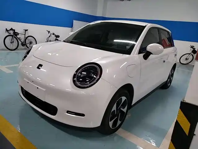 2024 JAC 3(Yiwei)
