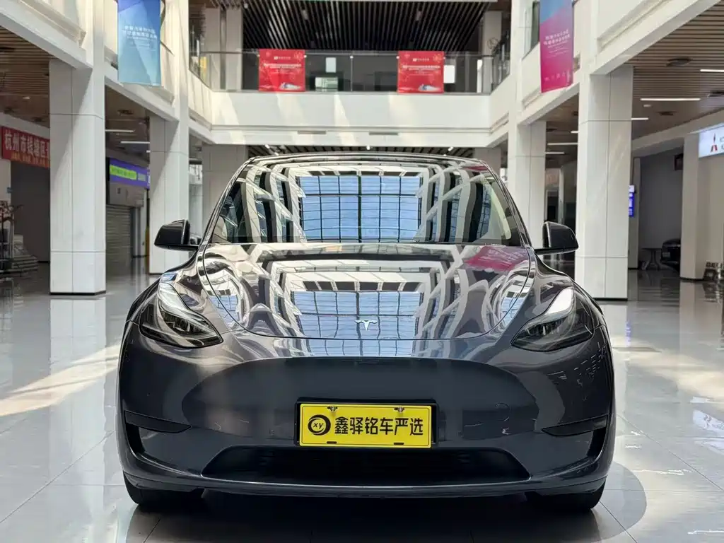 Tesla Model Y — миниатюра 2