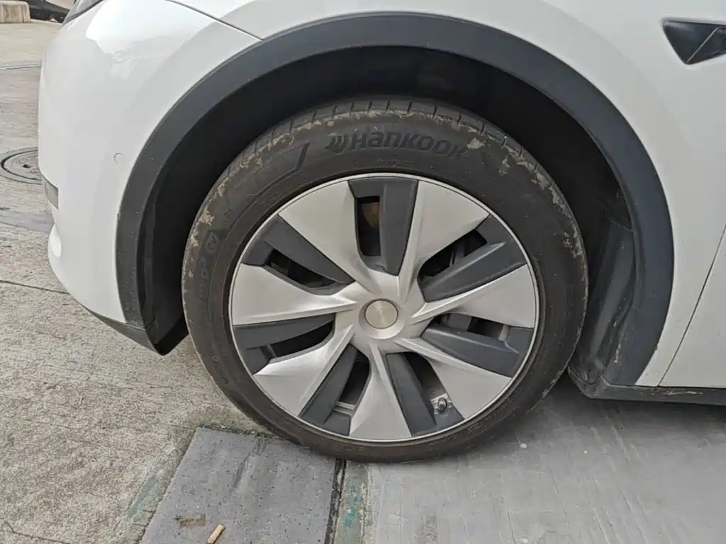 Tesla Model Y — миниатюра 23