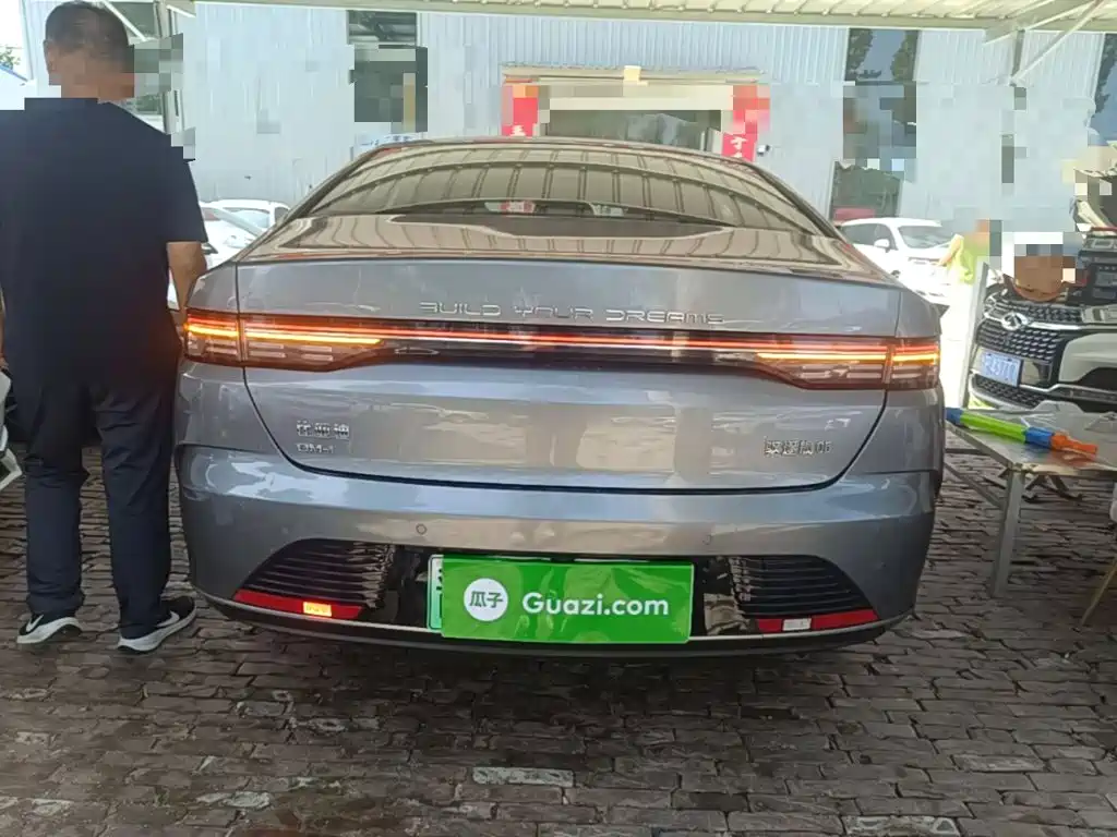 BYD Destroyer 05 2023 Champion DM-i 55KM Luxury