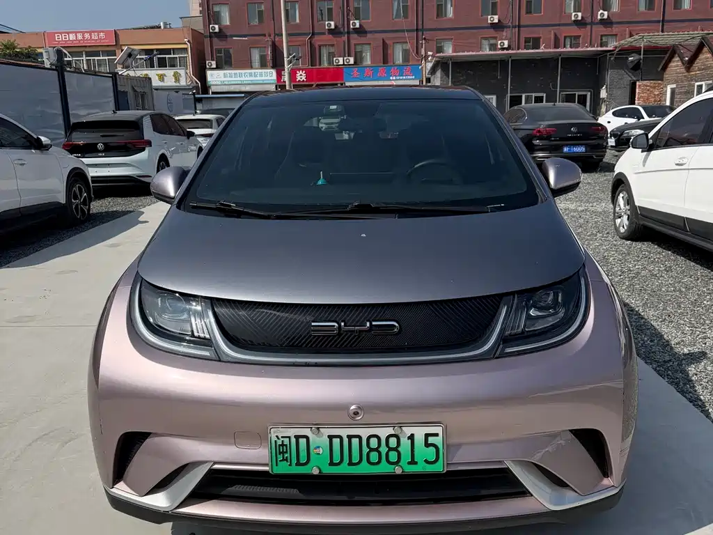 BYD Dolphin — миниатюра 2